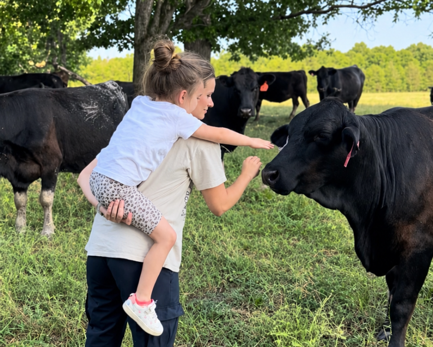 A woman in a beige t-shirt and dark pants carries a young child in a white shirt and patterned skirt as they stand in a grassy field with black cows under a large green tree.